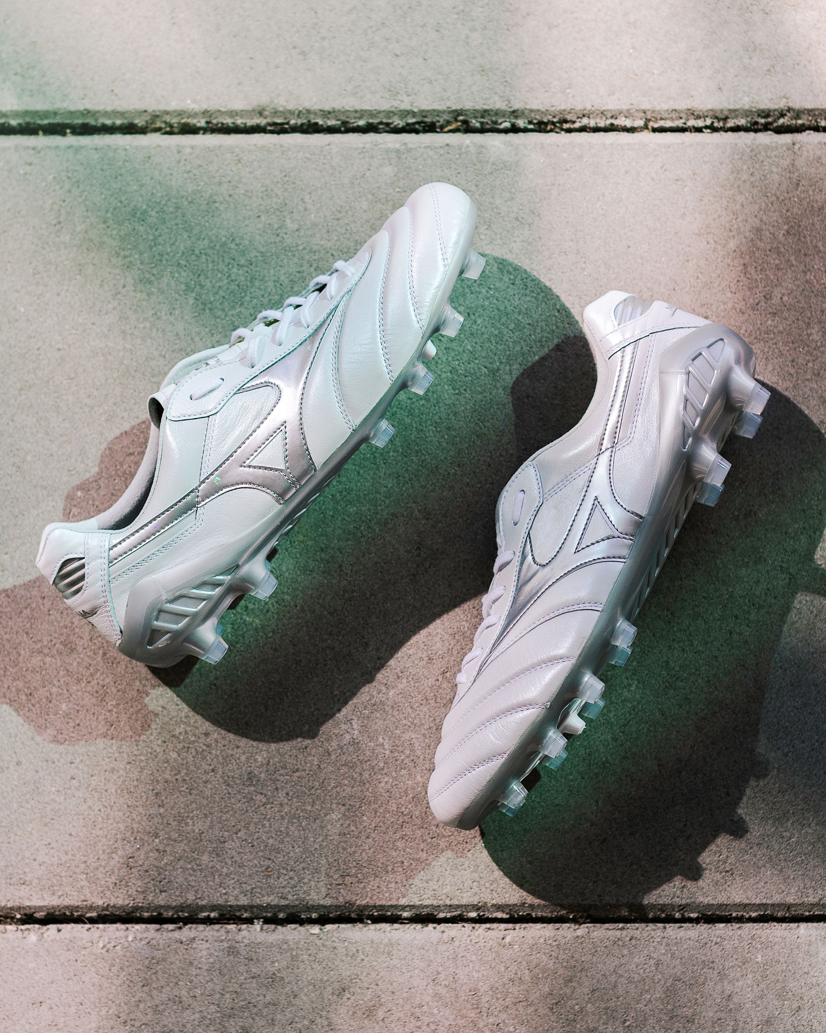 MORELIA DNA JAPAN